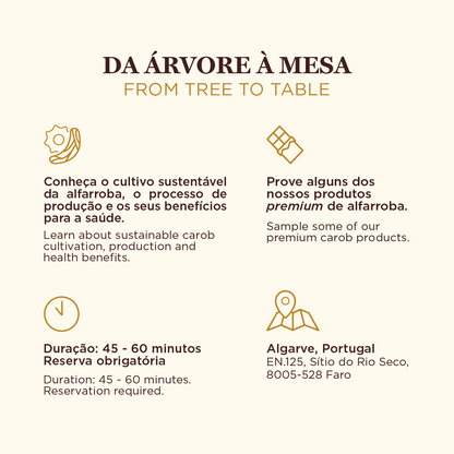 Visita à fábrica